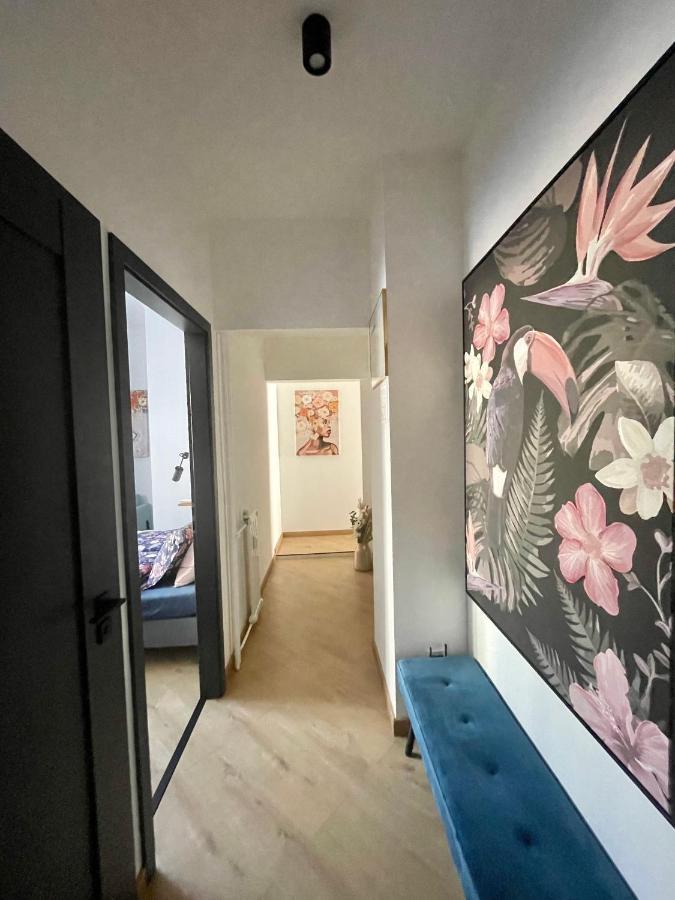 Brand New Apartment #Hollan#3Bedr#2Bathr#Freeparking Boedapest Buitenkant foto